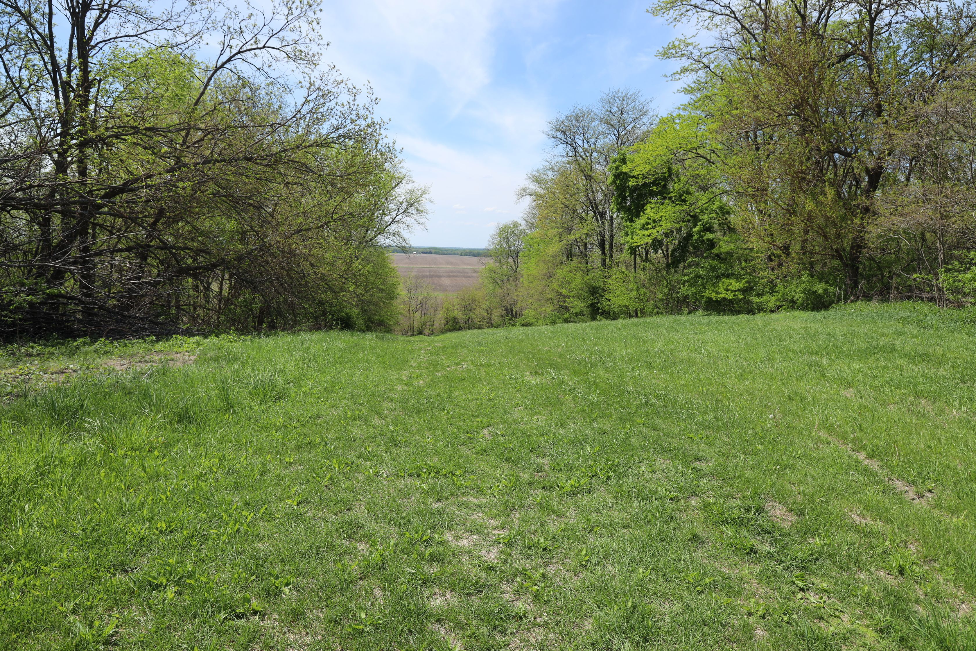 Listing Photo: Mercer-County-Land-Available